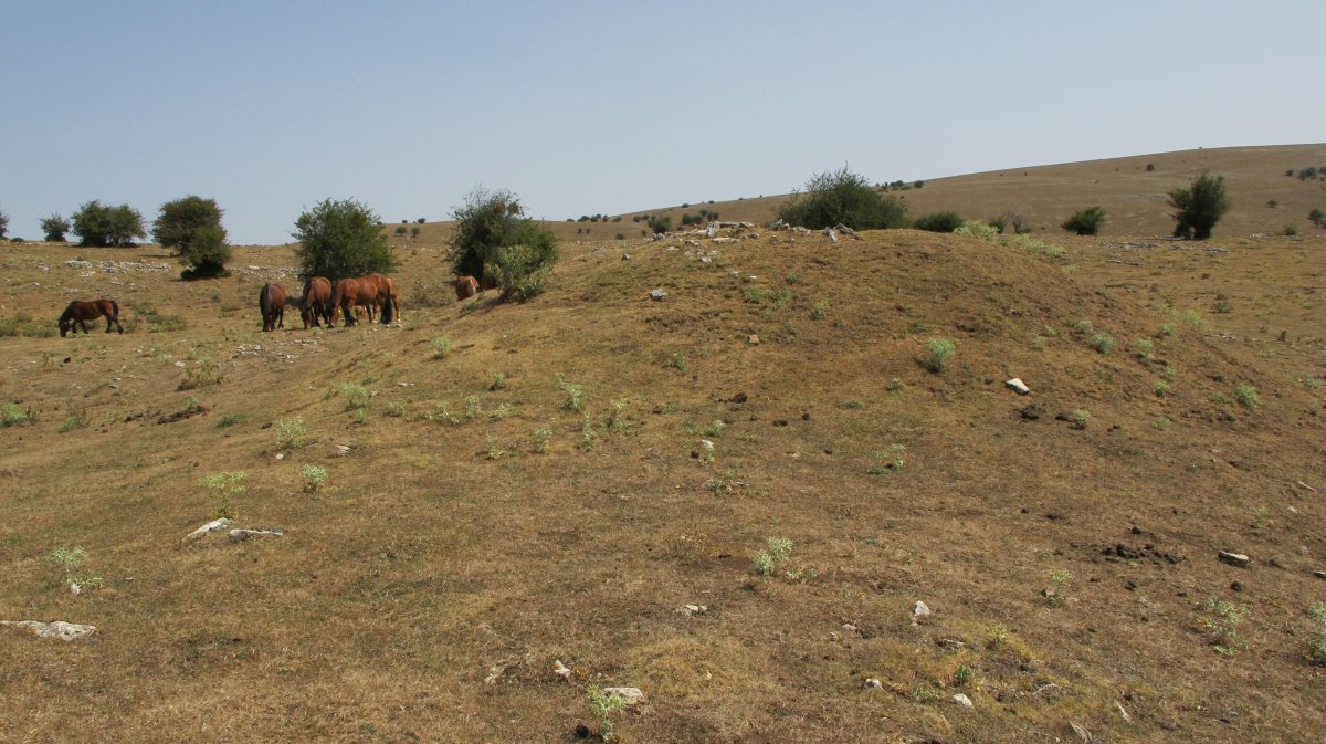 Entremedio txabola tumularra, Andia