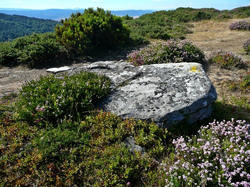 Urkitzako Lepoa. Trikuharria
