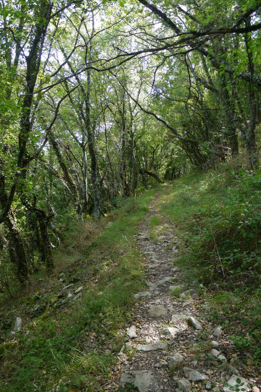 Bidea Saldise eta Ultzurrun artean