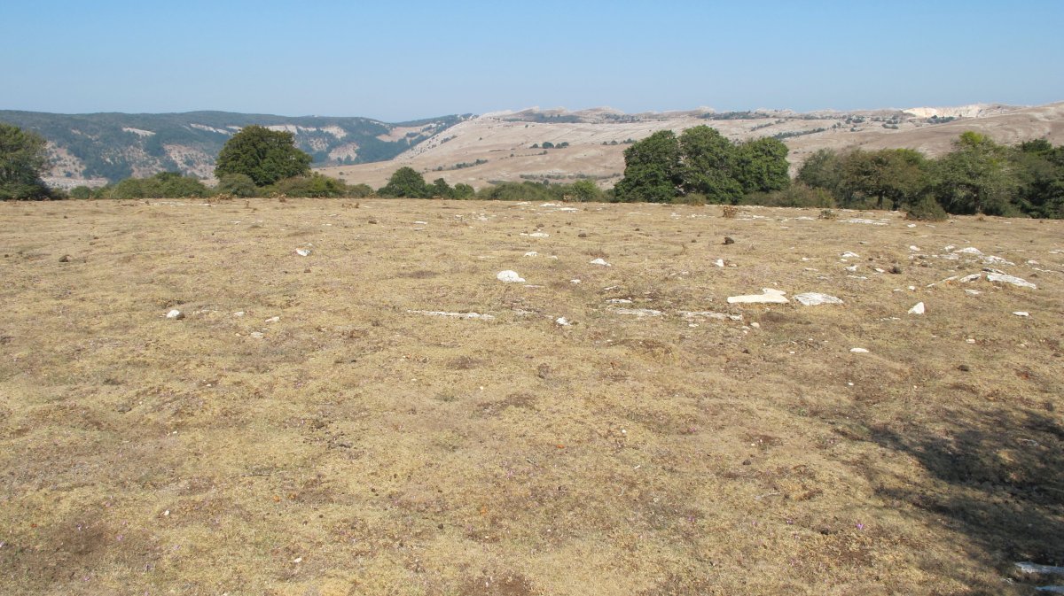 Mirueta 2 eraztun tumulua, Andia