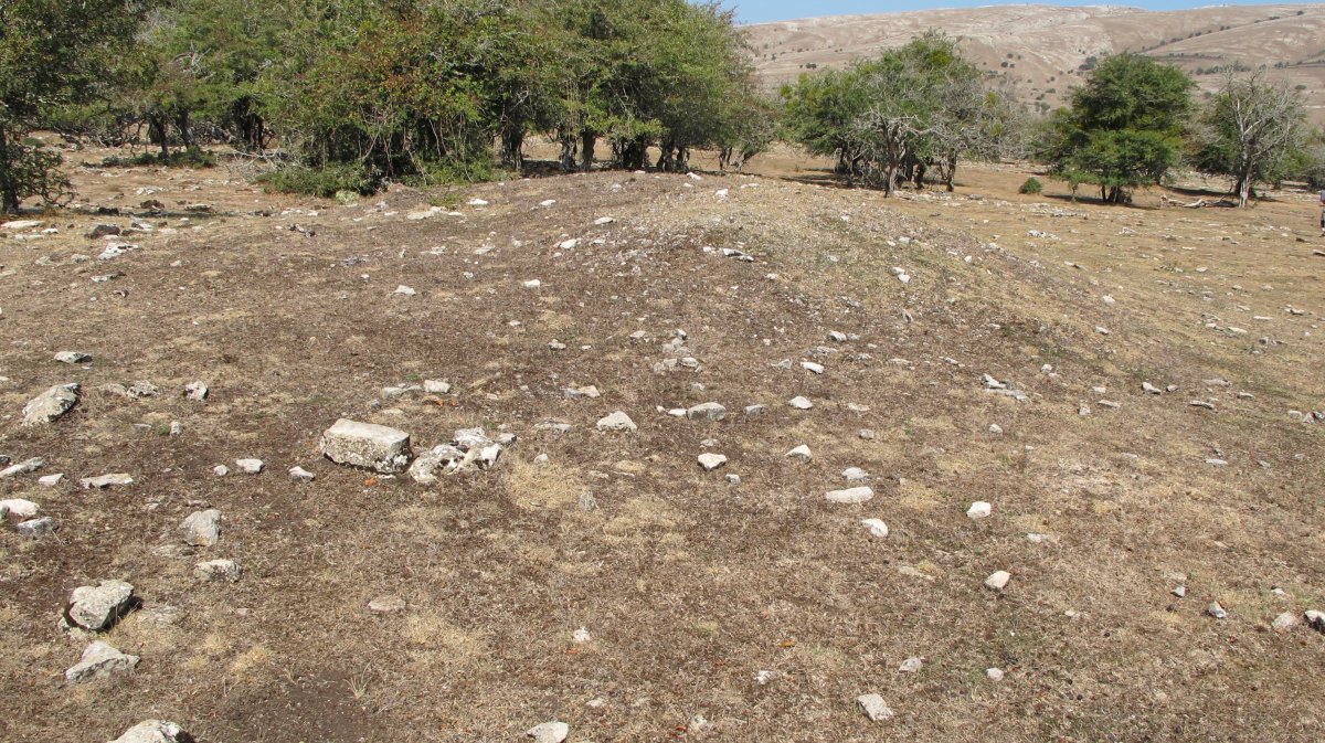 Soosa 2 hego etxola hondoa, Andia