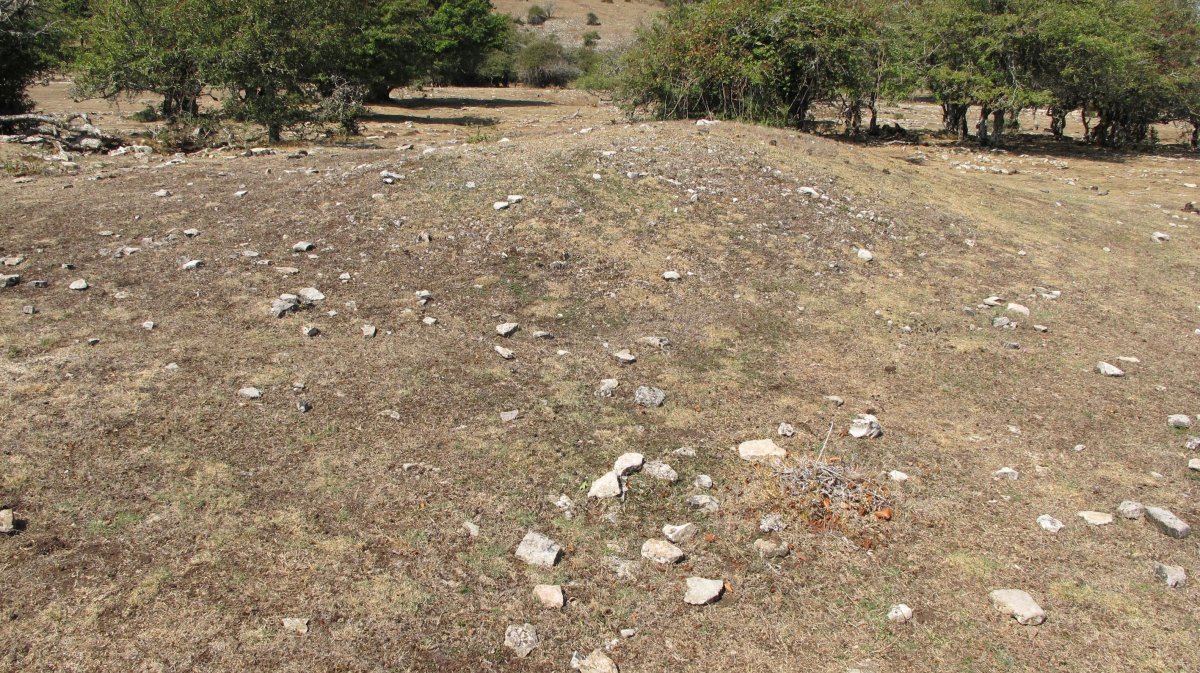 Soosa 2 hego etxola hondoa, Andia