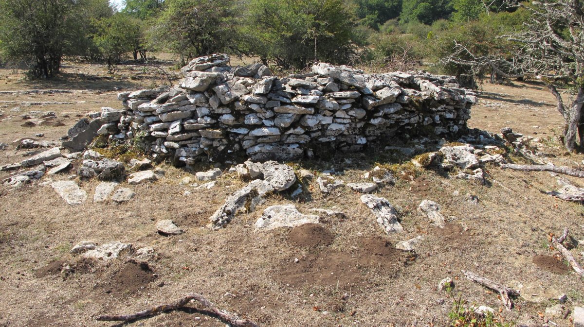 Soosa txabola tumularra, Andia