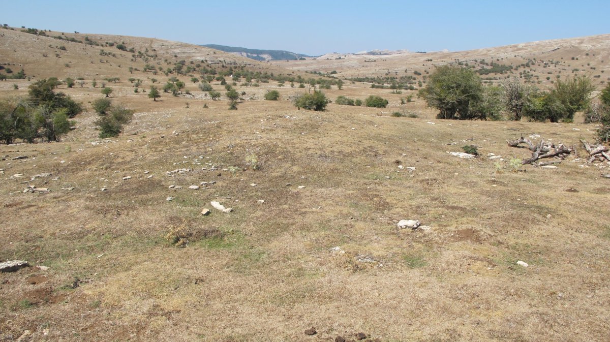 Soosa 1 erdi etxola hondoa, Andia