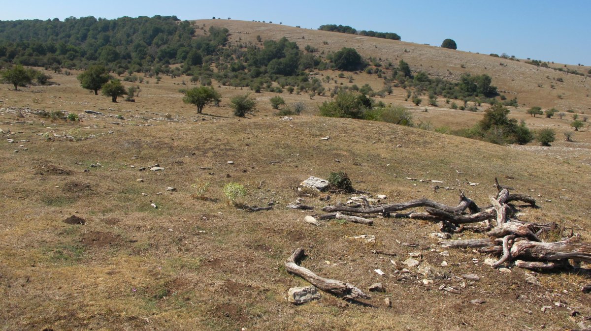 Soosa 1 erdi etxola hondoa, Andia