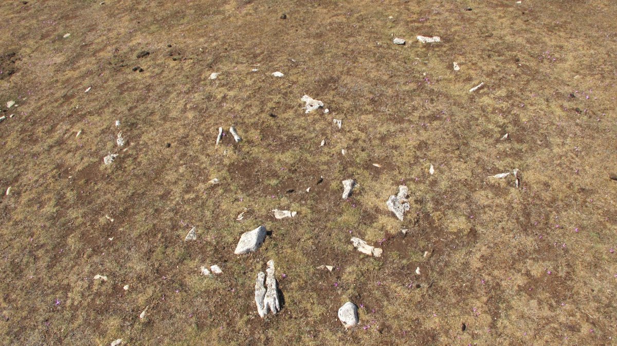 Soosa 2 ekialde tumulua, Andia