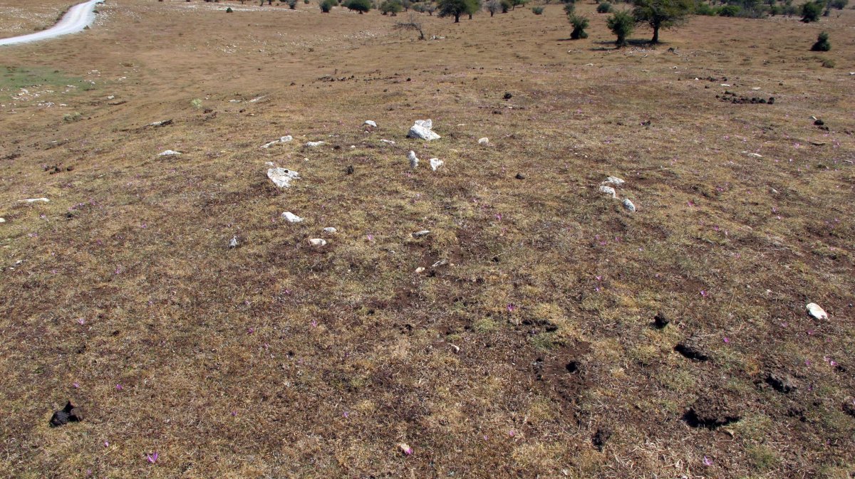 Soosa 2 ekialde tumulua, Andia