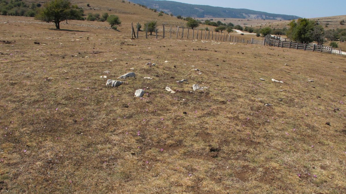 Soosa 2 ekialde tumulua, Andia