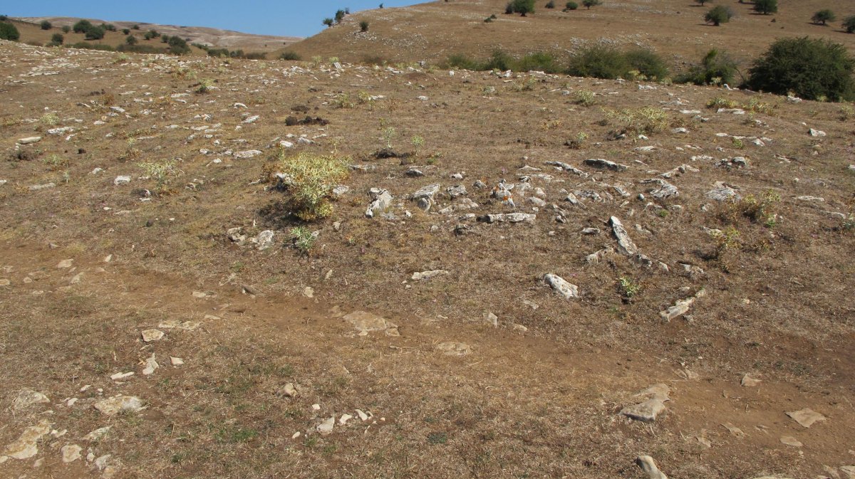 Entremedio 2 mendebalde eraztun tumulua, Andia