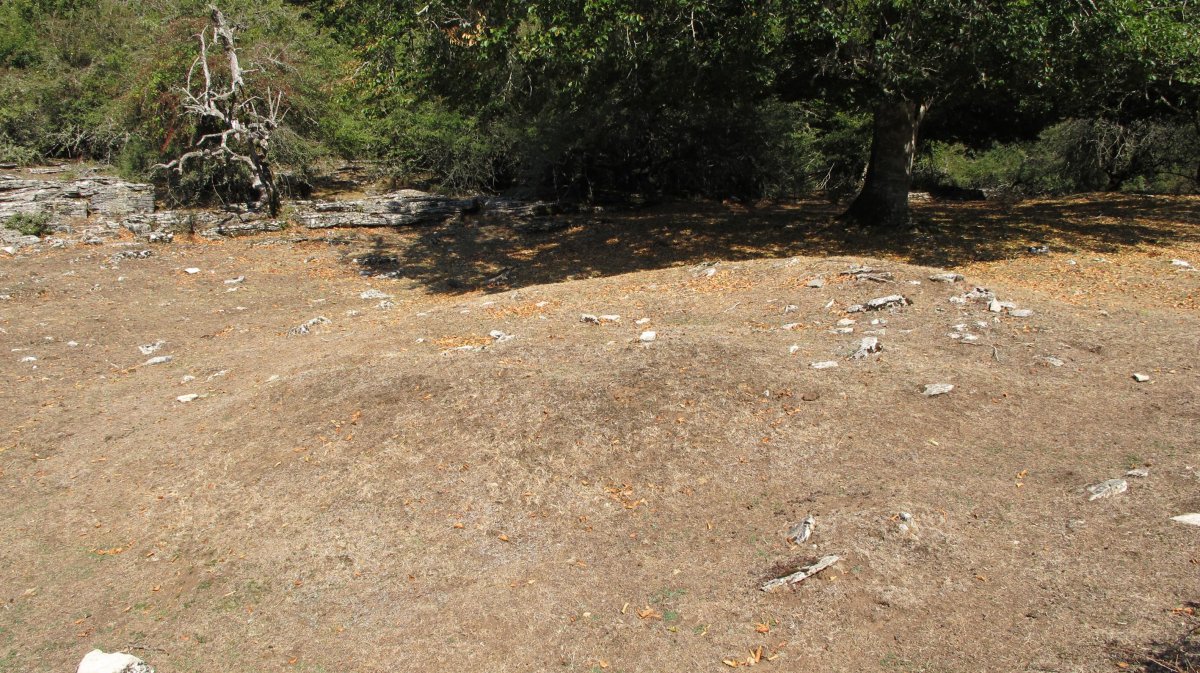 Zaborrateko Sakana etxola hondoa, Andia