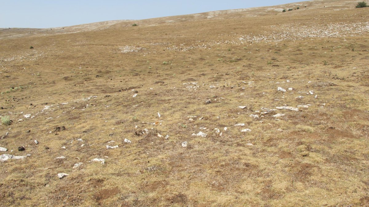 Ritei eraztun tumulua, Andia