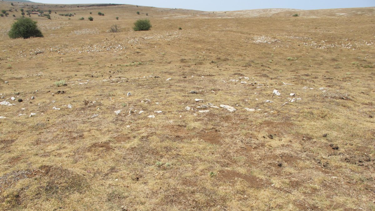 Ritei eraztun tumulua, Andia