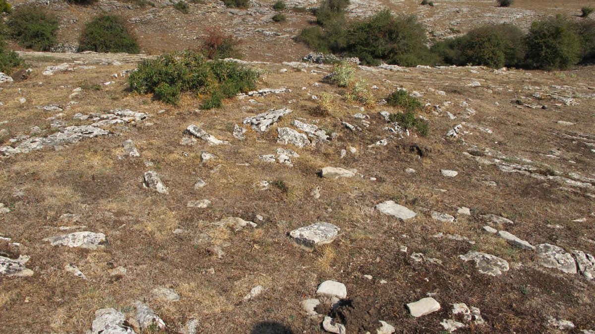 Entremedio 1 ekialde tumulua, Andia