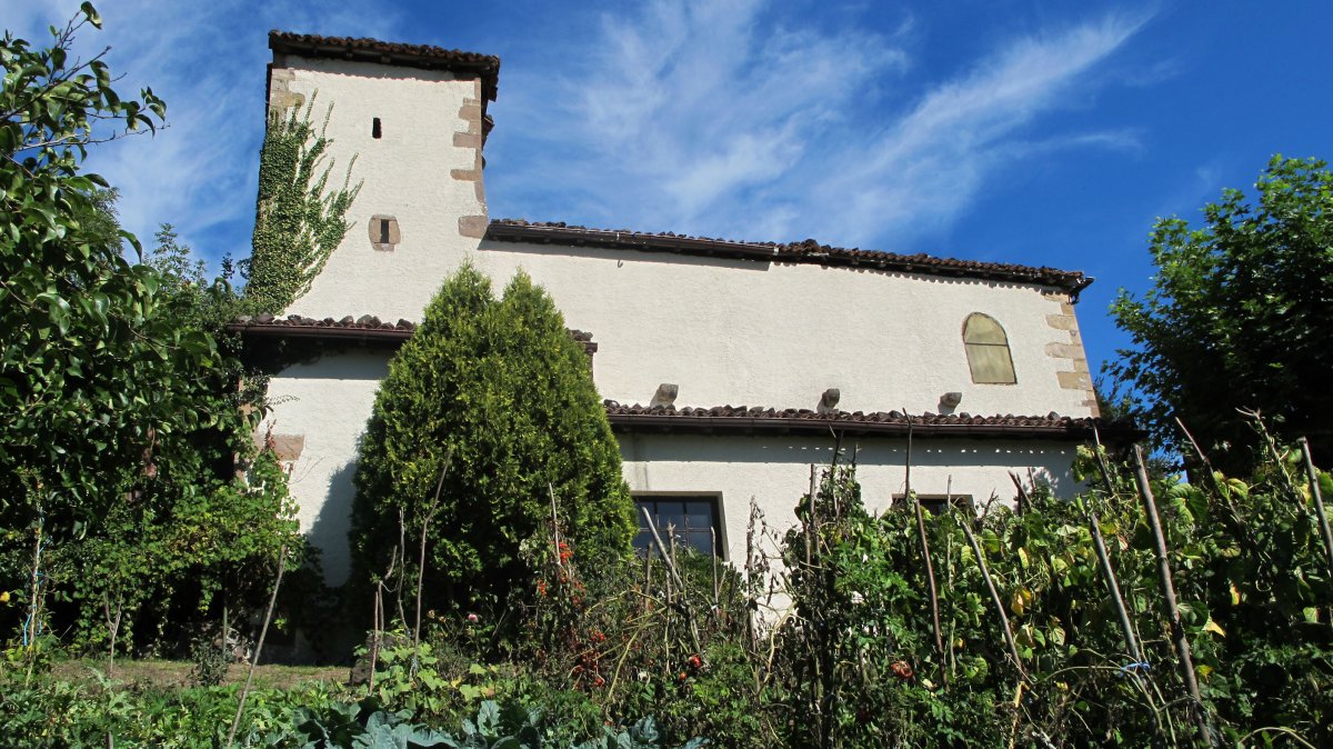 La Asuncion eliza, Aniz