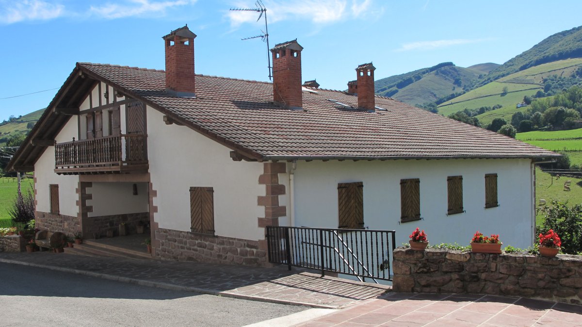 Iantzienea etxea, Aniz