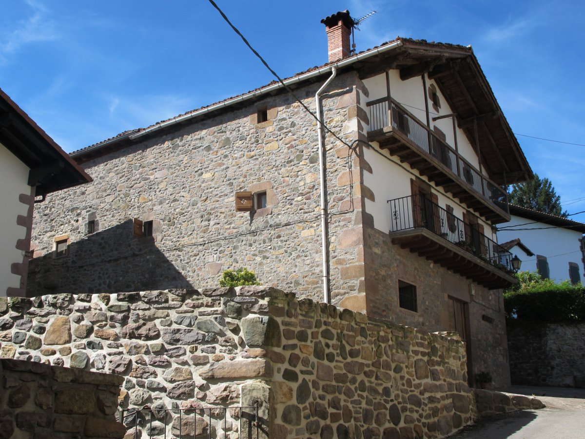 Petrienea (Petrinea) etxea, Aniz