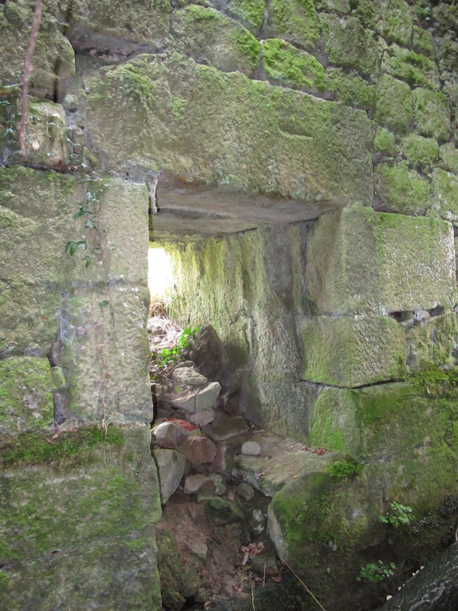 Olea burdinola, Ibarruri-Muxika
