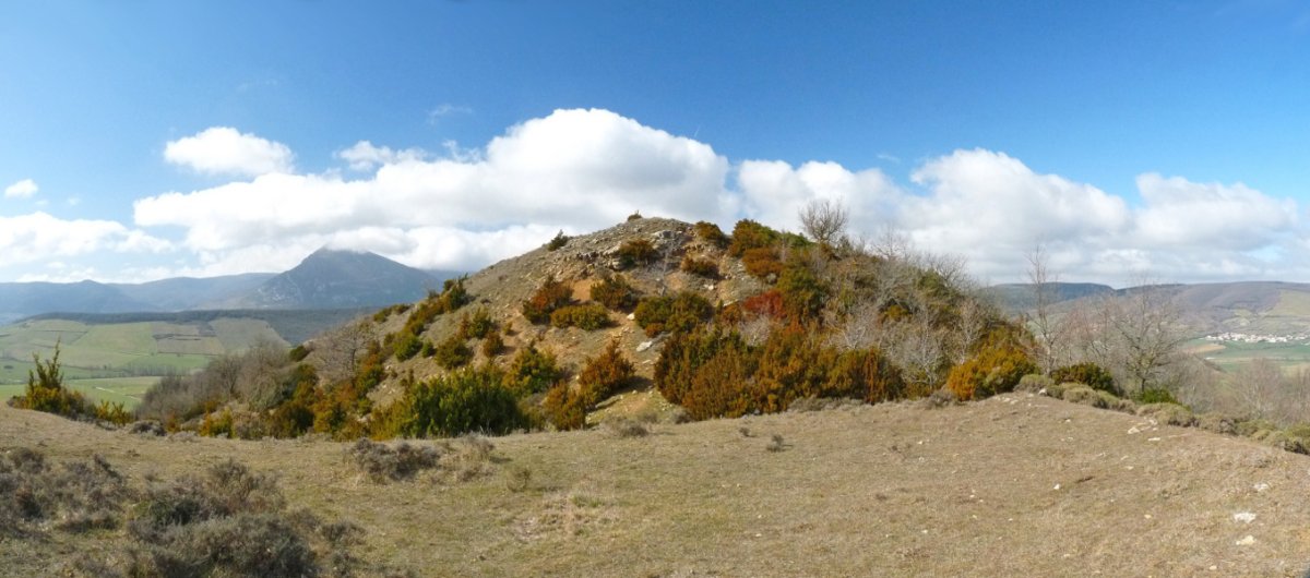 Iruaga historiaurreko herrixkaren aztarnak