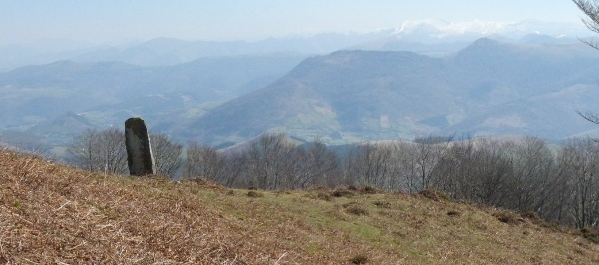 Iruñarriko zutarria