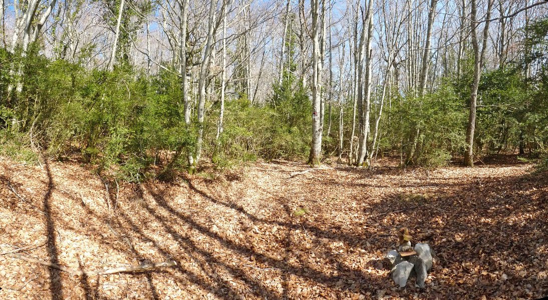 Buzoiak dauden tokia