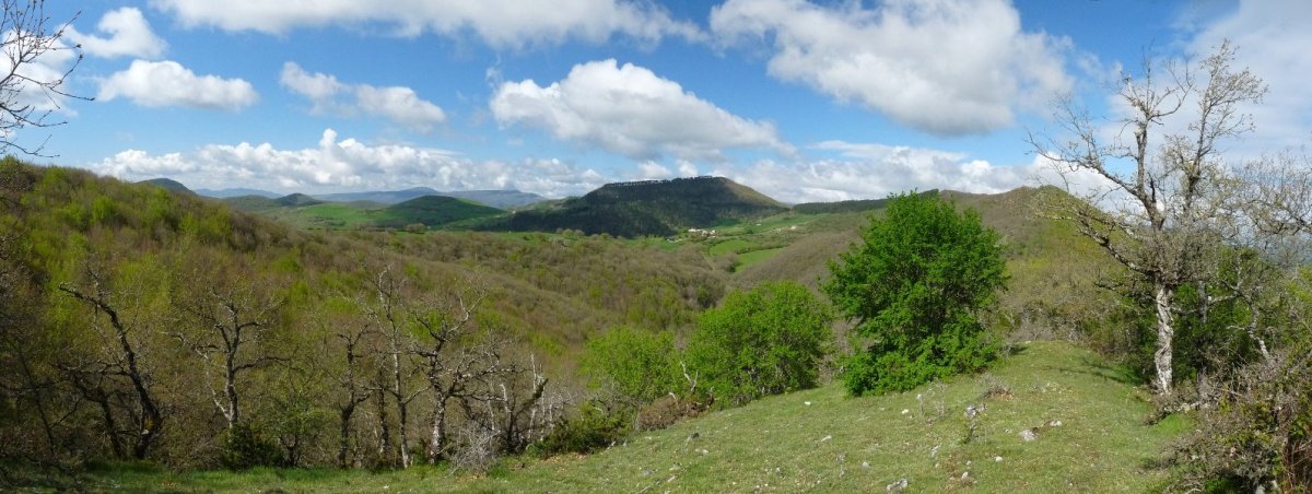 Paisaia Bagadixartik