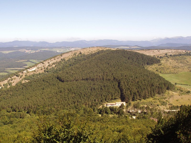 Arangaiz Artzelaietatik