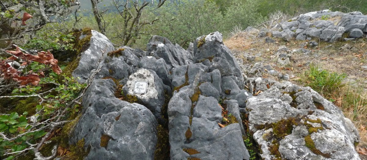 Intsusako Harmalako gailurreko "Ave Maria"