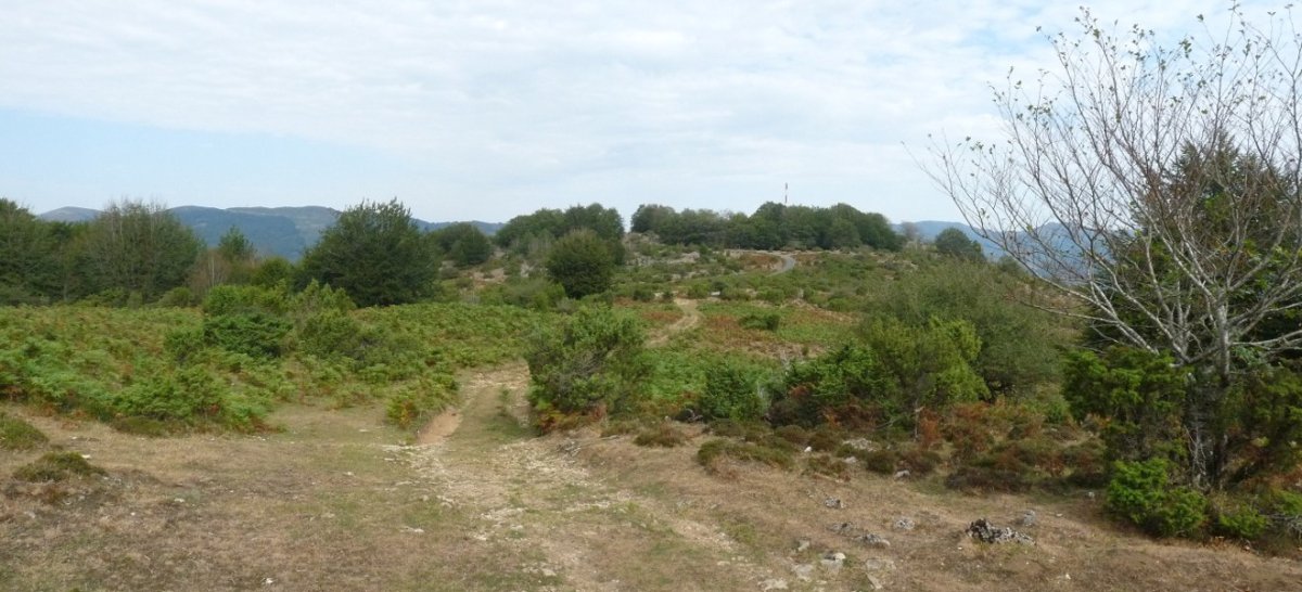 Gora mendia, Intsusatik iparraldera