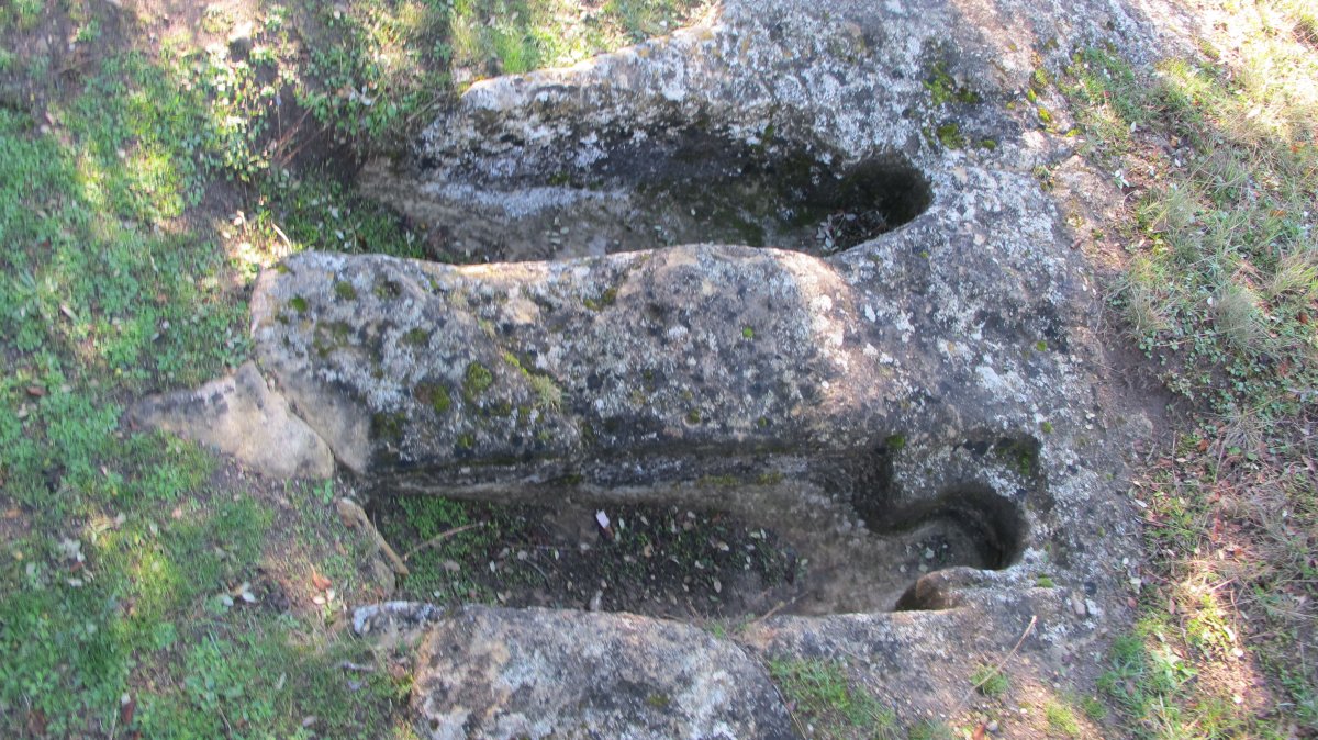 San Formerioren Santutegia, Pangua