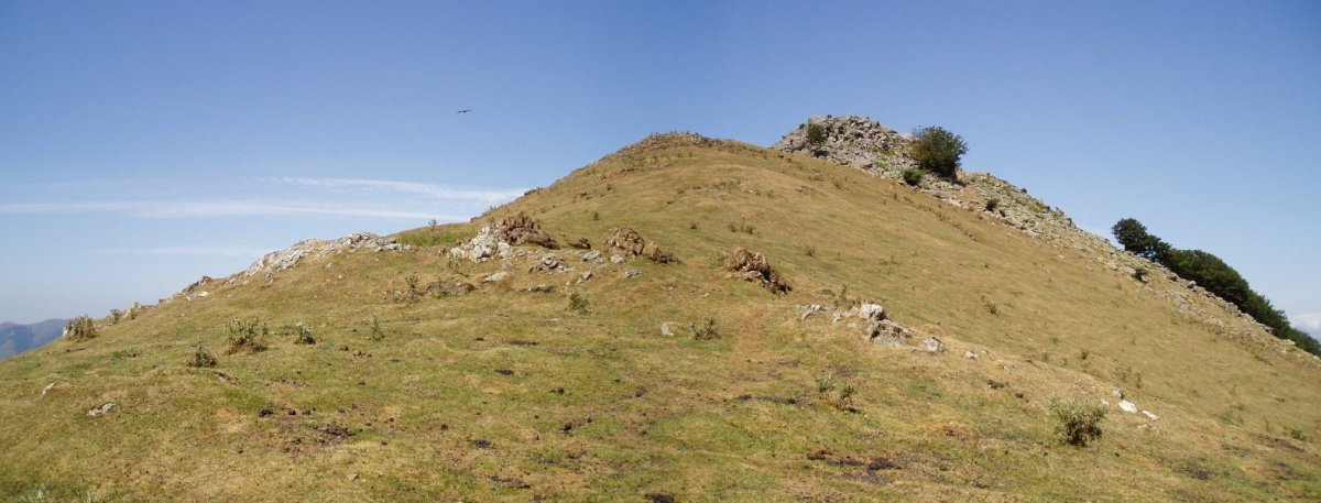 Hego-ekialdeko bizkarra