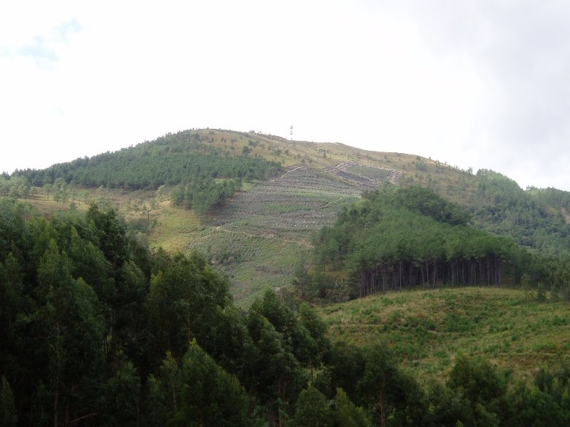 Jata ekialdetik ikusita