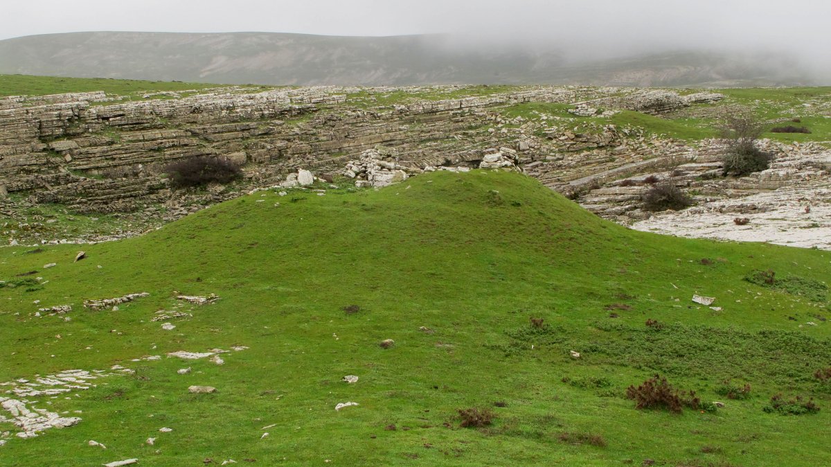 Arioleta txabola tumularra, Andia