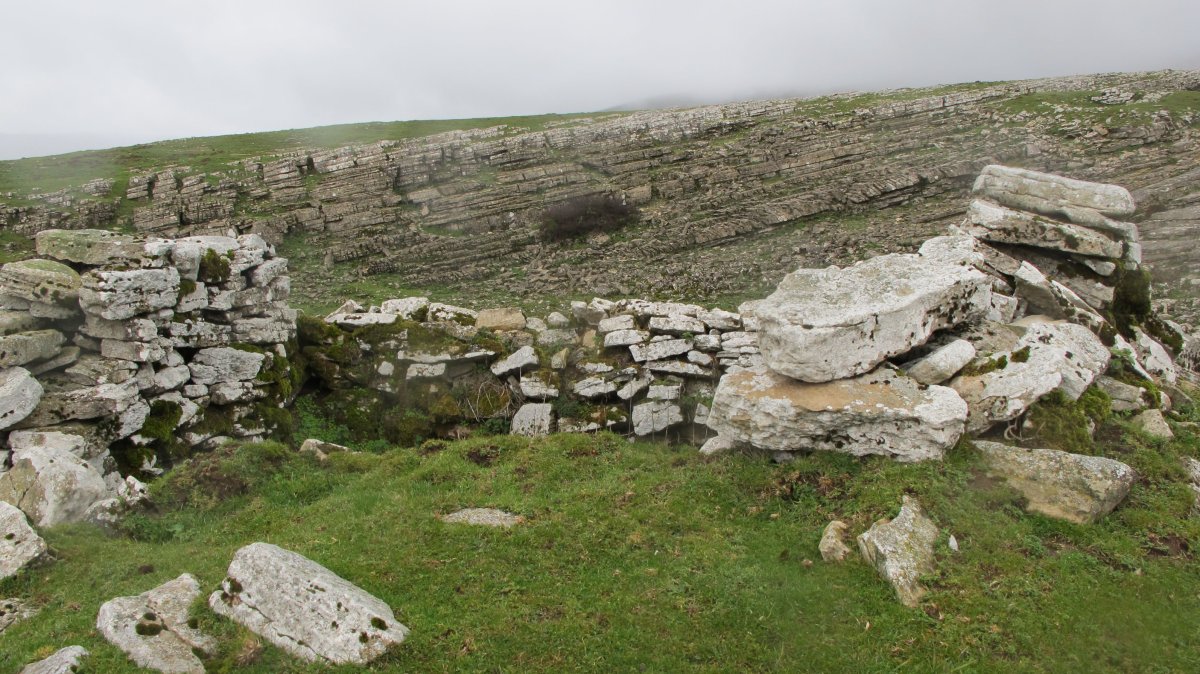 Arioleta txabola tumularra, Andia