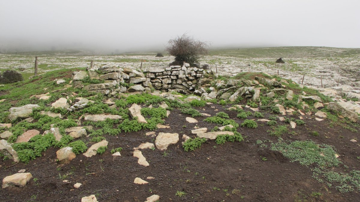 Arioleta Cueva txabola tumularra, Andia