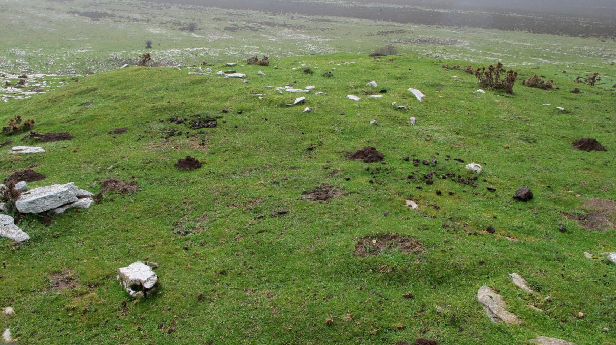 Carabineros txabola tumularra