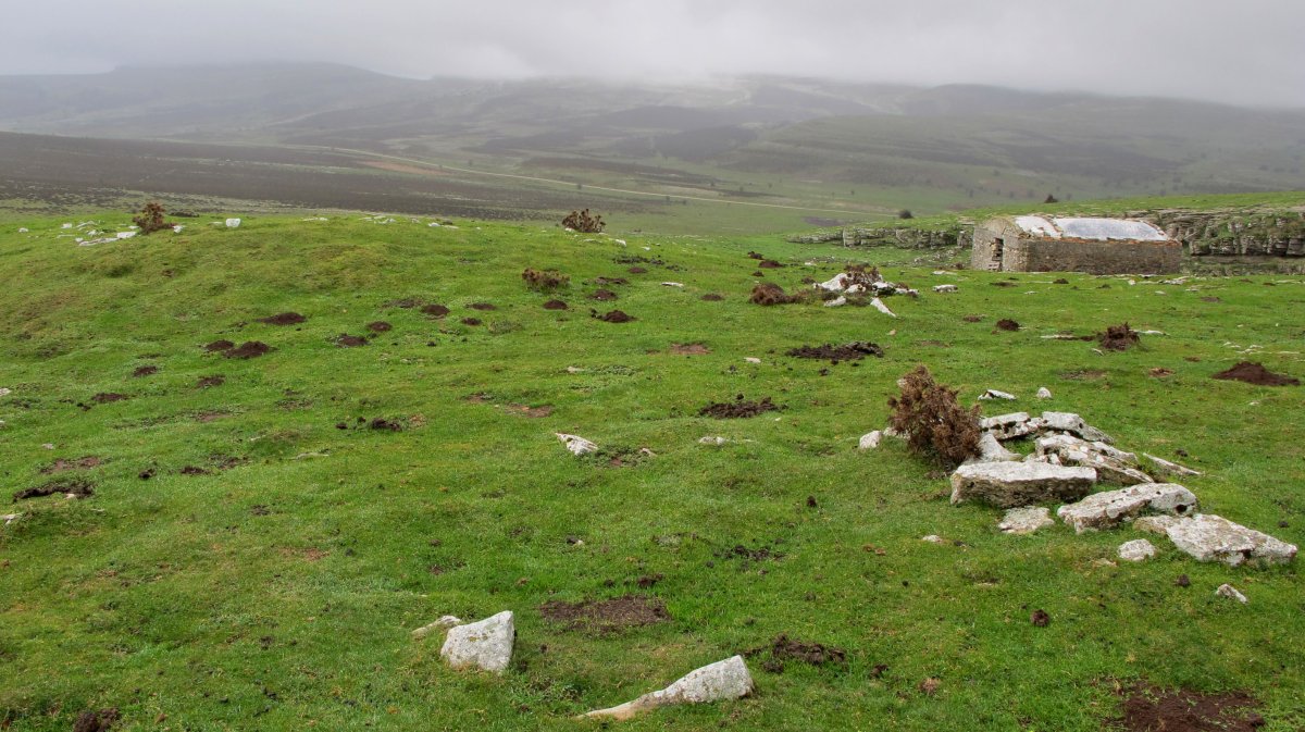 Carabineros txabola tumularra
