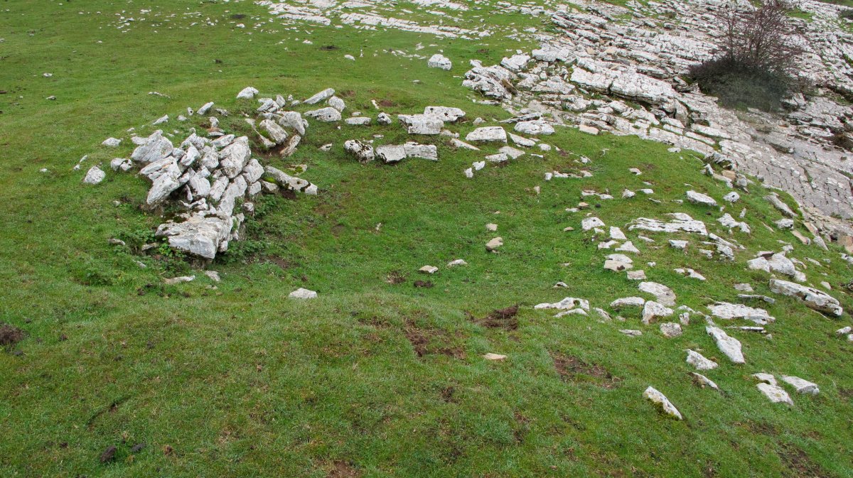 Arioleta Ipar txabola tumularra, Andia