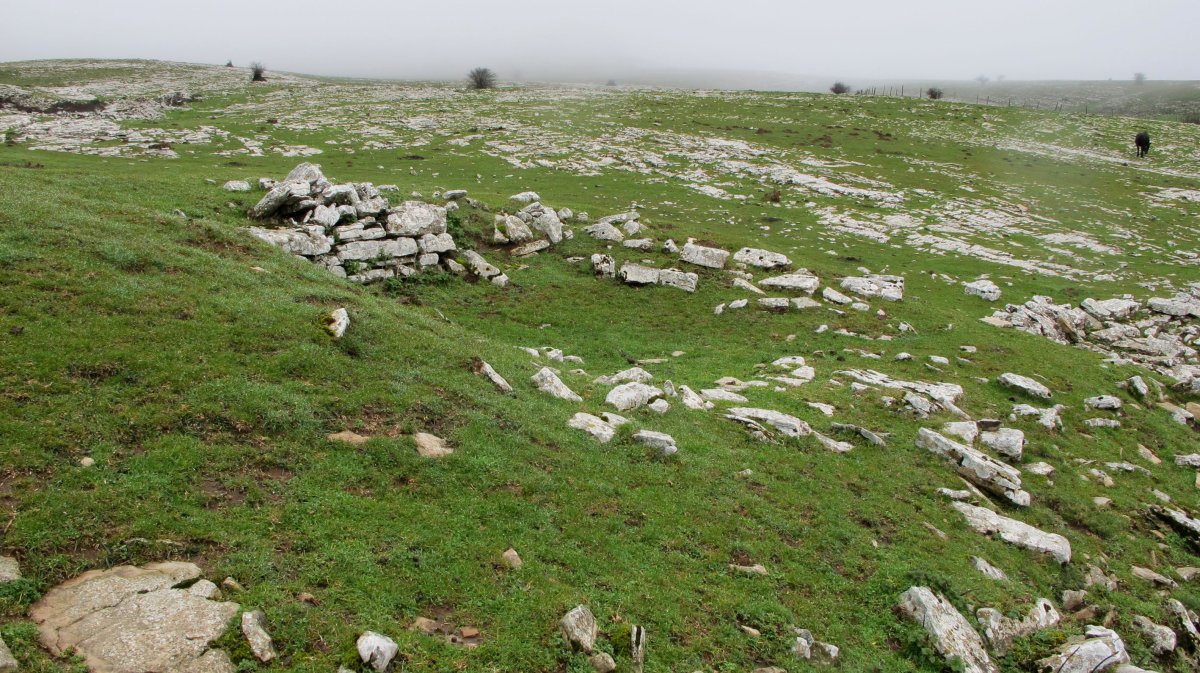 Arioleta Ipar txabola tumularra, Andia