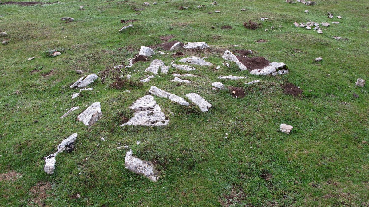 Erriturri 1 tumulua, Andia