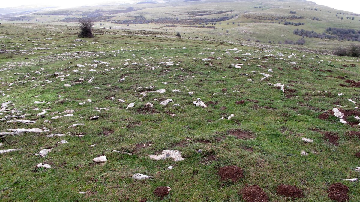 Erriturri 2 Tumulua, Andia