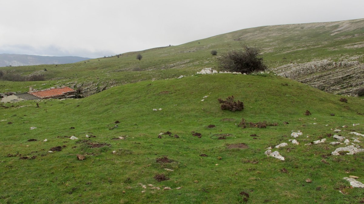 Zamargiñen Txabola txabola tumularra, Andia