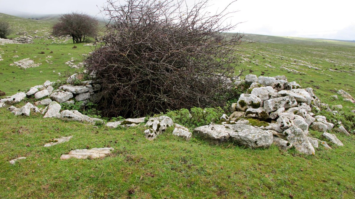 Zamargiñen Txabola txabola tumularra, Andia