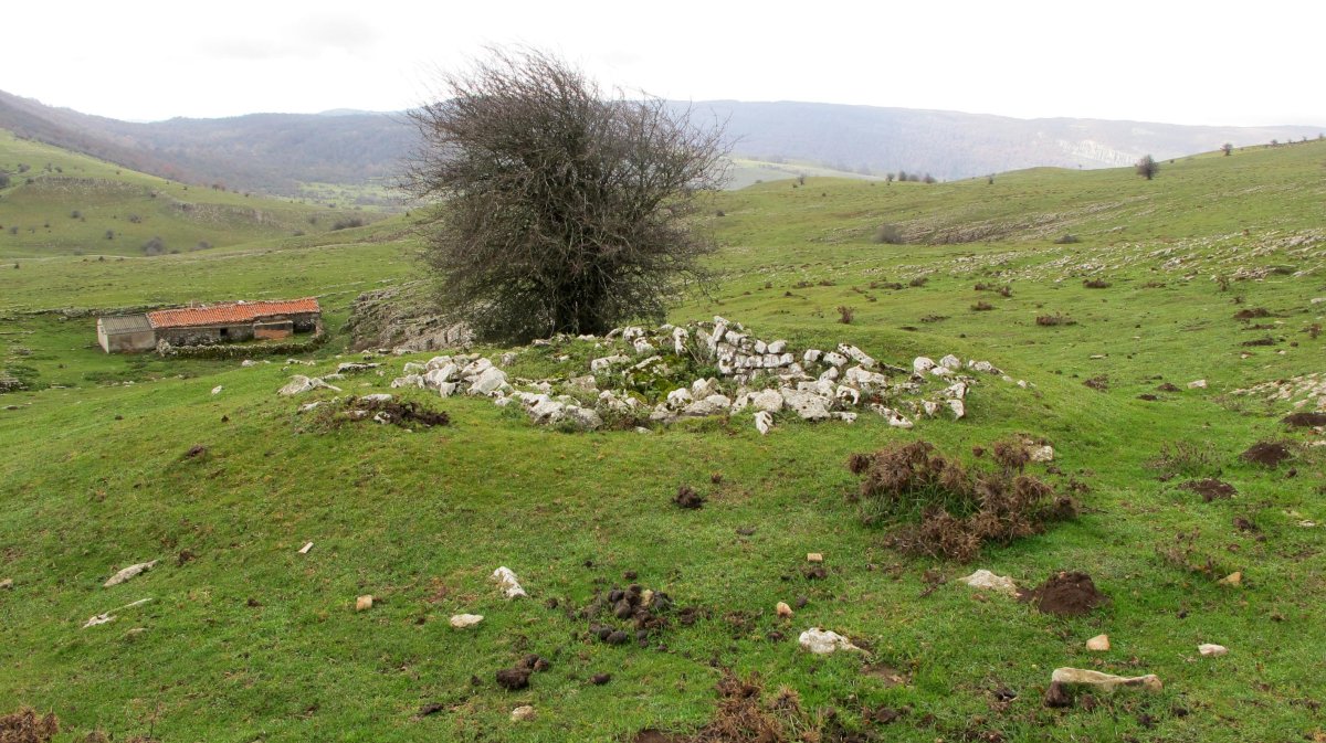 Ricardoren Txabola txabola tumularra, Andia