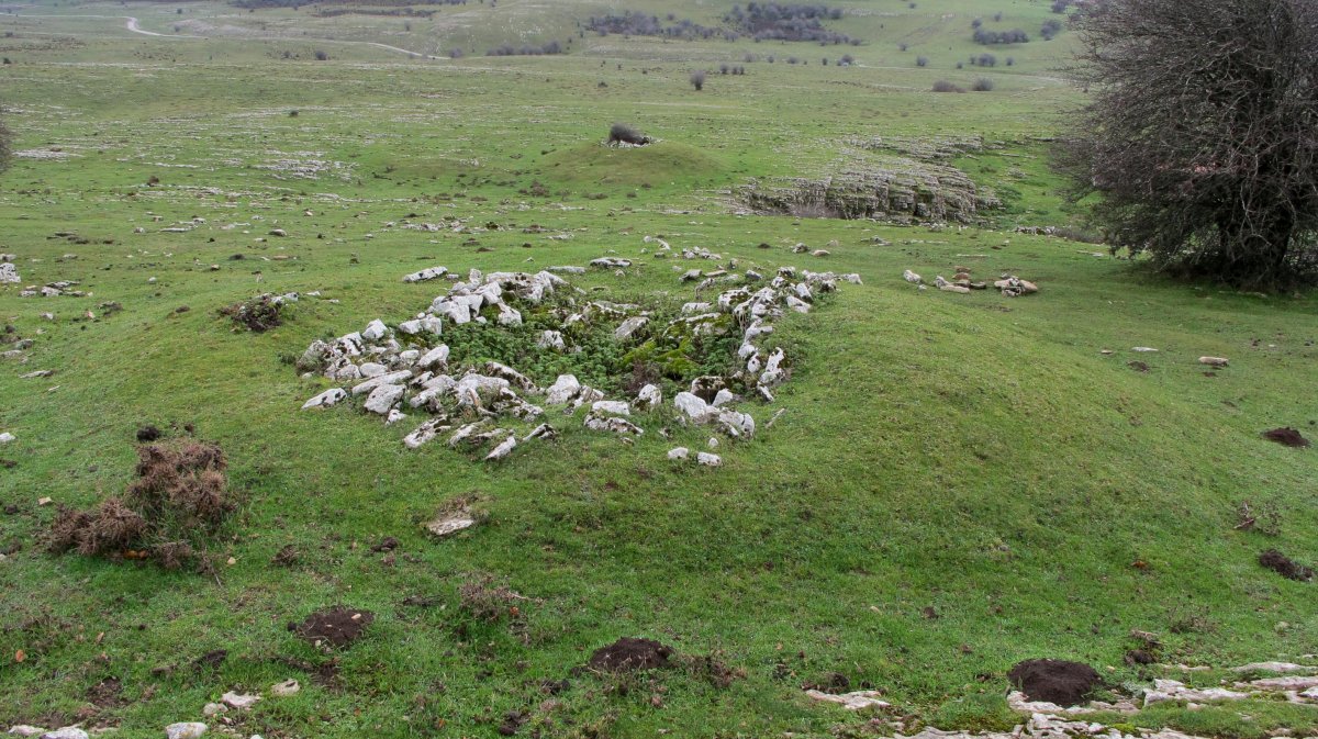 Ricardoren Txabola txabola tumularra, Andia