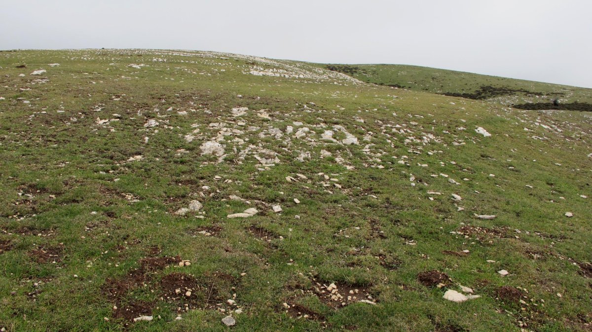 Elortxikia eraztun tumulua, Andia