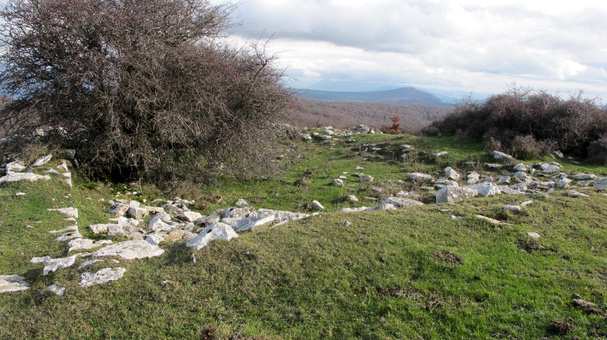 Santa Kiteriako hondakinak, Goñi