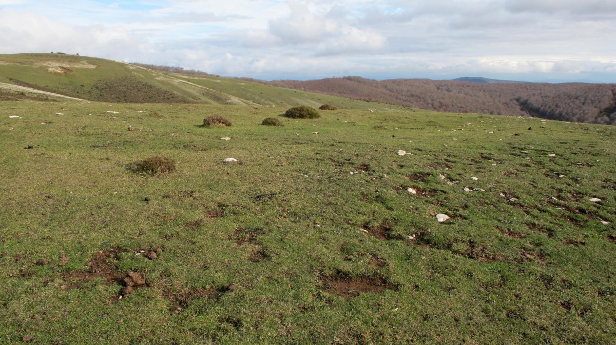 Mangones 4 eraztun tumulua, Andia