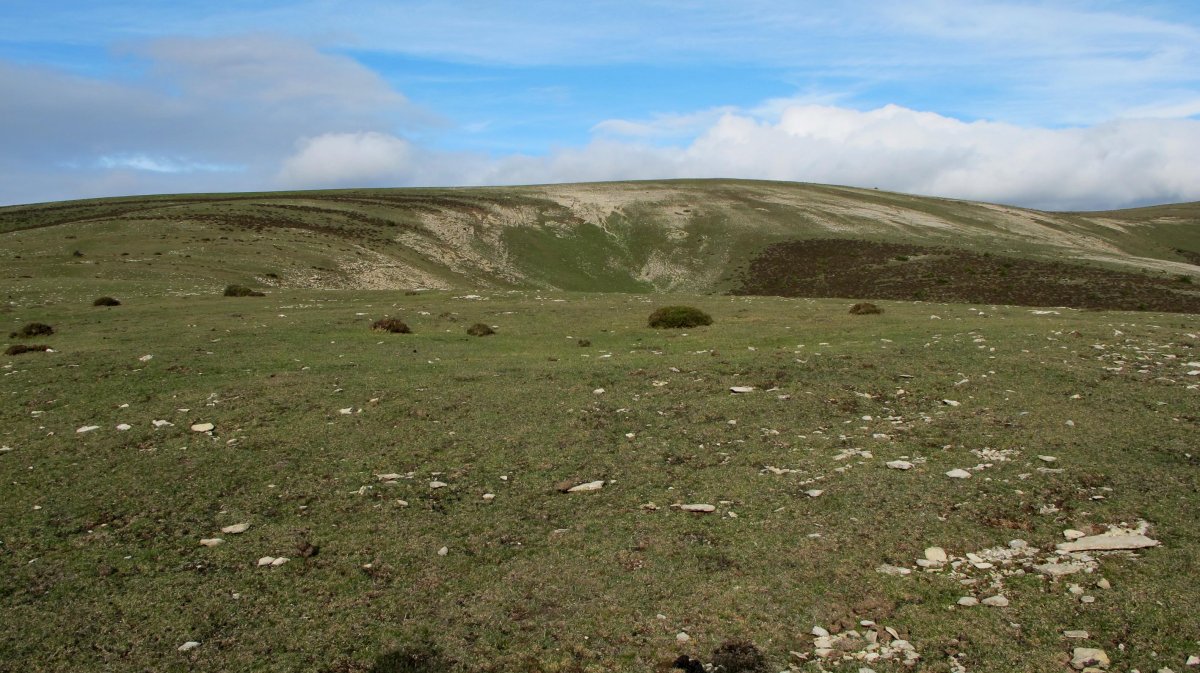 Mangones 4 eraztun tumulua, Andia