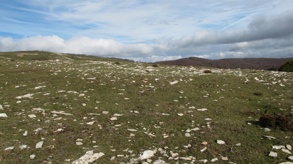 Los Mangones 2 ipar eraztun tumulua, Andia