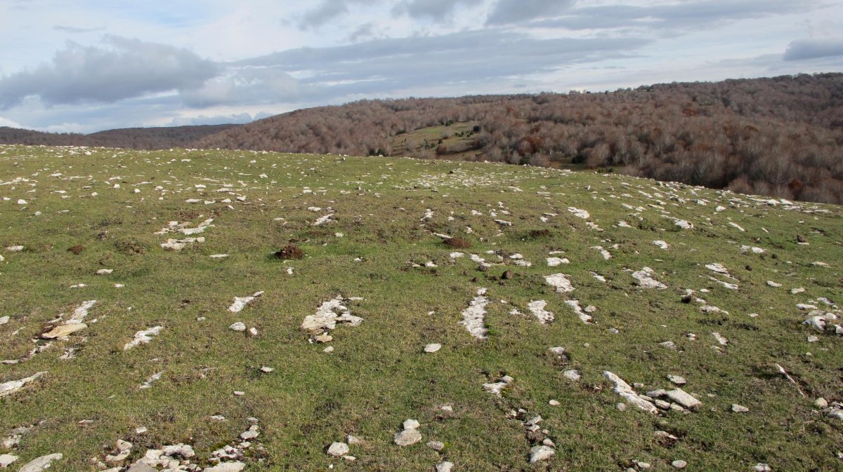 Los Mangones 1 erdi eraztun tumulua, Andia